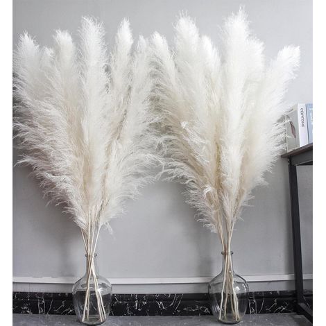Pampas Grass - 40 Inch Tall Dried Ornamental Grass Stems - Natural Boho Home Decor - Wedding Party Farmhouse Interior Decoration - 10 Stems (1/5)