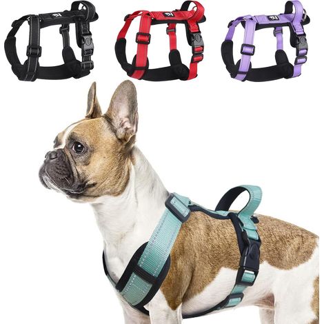 Harnais Réfléchissant pour Chien Moyen, Anti Traction, Poignée Rembourrée, Vert, M (1/5)
