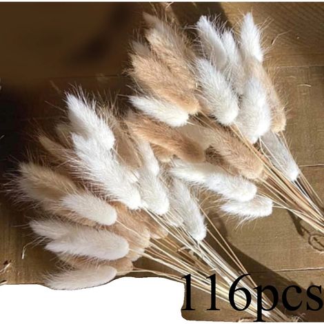 Flores secas preservadas, estética natural, decoración de interiores versátil, C (1/2)