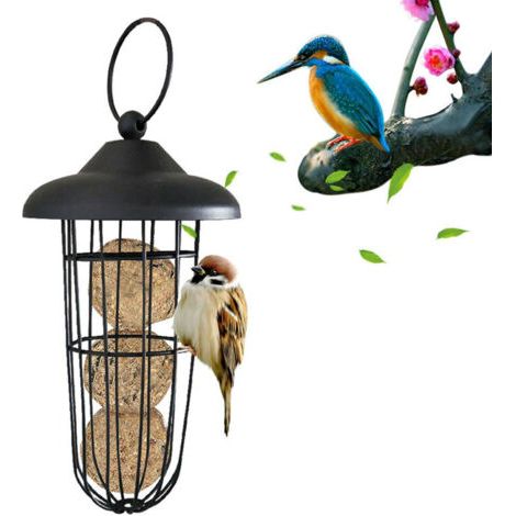royaluxe -Mangeoire à Oiseaux, Mangeoire à Oiseaux en Métal à L'épreuve des écureuils Mangeoire à Oiseaux Fer à Suspendre Automatique Porte-Boule De Graisse Outil d'alimentation,pour Mésanges (1/5)