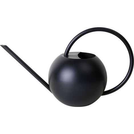 Arrosoir acier inoxydable entretien jardin outil jardinage (1/5)