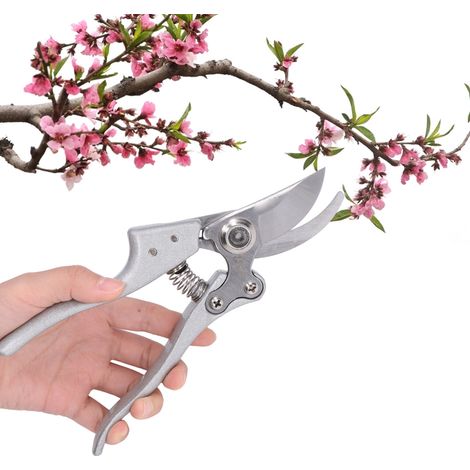 Sécateurs pour arbres fruitiers, outils de jardinage, sécateurs, cisailles facilitant le travail (1/5)