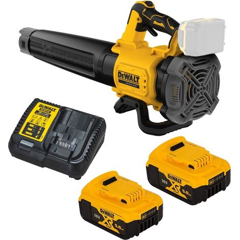 Dewalt DCMBL562P2 18v XR Brushless Axial Blower + 2 x 5.0ah Batteries + Charger