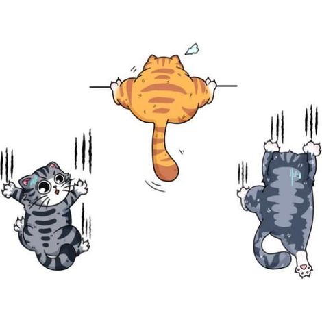 Stickers - Kawaii - 3 Pièces - Autocollants de Chat - Humour - Décoration Voiture (1/4)