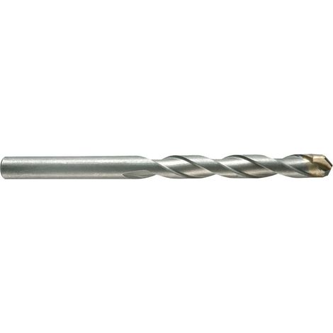 PUNTA CILINDRICA PER MURO 'STANDARD PLUS' mm 14 x 600 '03051'