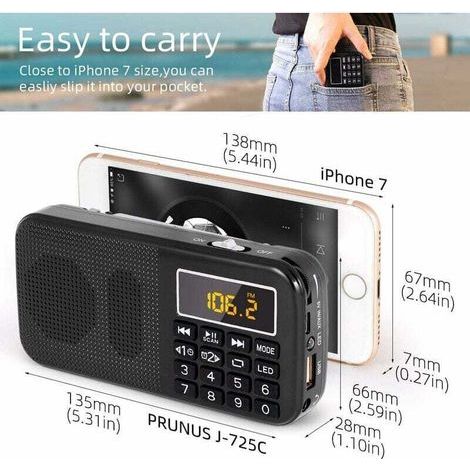 Radio Portable. Radio FM avec Batterie Rechargeable de Grande Capacité (3000mAh). Prise en Charge MP3 / SD/USB/AUX.Noir (1/4)