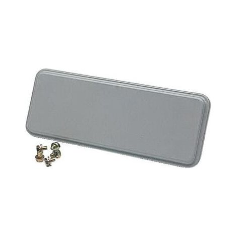 APO Plaque de fermeture pleine - Largeur 185mm RAL7035 4TBO856103C0100 ABB 856103