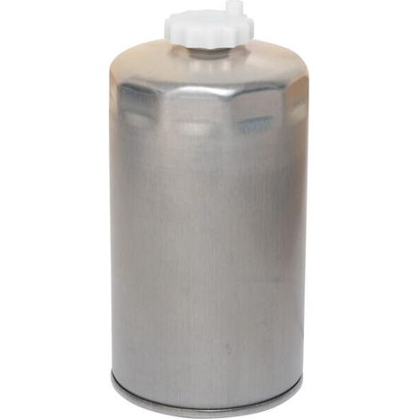 Filtro LANDINI 4215225M2 (1/3)