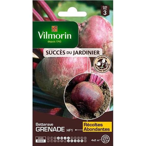 Sachet graines Betterave Grenade HF1