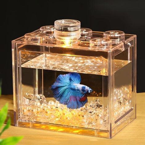 Mini aquarium de table pour petits poissons et plantes aquatiques, idéal pour les petits espaces.-AquaForge (1/2)