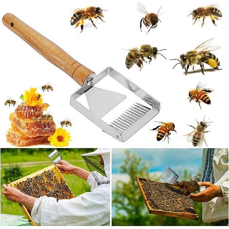 EASYCOMFORT Fourchette De Miel 1 PCS Pelle à Miel Apiculture Outil Abeille à Miel matériel apicole Outils pour Apiculture Apiculture équipement Outil Multifonction Apiculture (1/5)