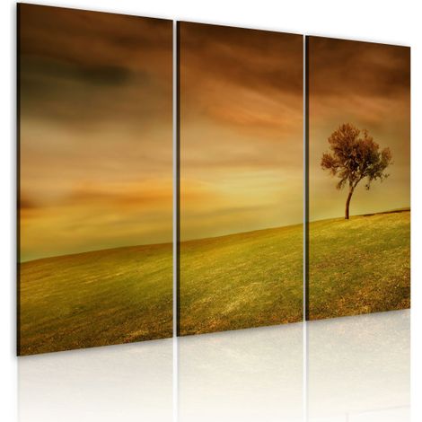 Tableau Imprimé "Arbre Seul dans la Prairie" 40 x 60 cm (1/2)