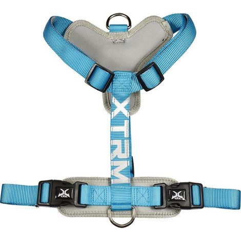 Harnais X-TRM Cronos Neon Flash Bleu, T-M 20 mm x 46-75 cm