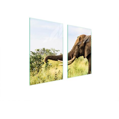PLAQUE DE PROTECTION EN VERRE POUR POÊLE 75x52 ÉLÉPHANT (1/5)