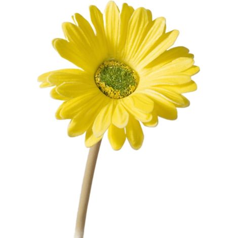 Daisy Flowers With Stems - 38.5 Cm Height - PU Material - Realistic Artificial Daisies For Wedding Party Home Decor - Pack Of 1 (1/5)