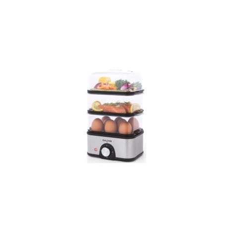 Vaporiera Salter EK5885VDE