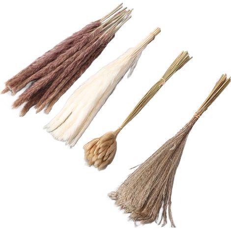 Herbe de la pampa séchée naturelle et duveteuse : 15 pièces d’herbe de la pampa blanche, 15 pièces d’herbe de la pampa brune, 50 pièces d’herbe queue de lapin, 20 pièces de roseau pour la décoration d (1/5)