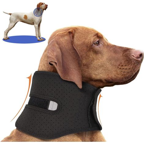 Verstellbare Halskrause Hund Hundekragen, Hundekragen Leckschutz, Schutzkragen Hund, L (1/5)