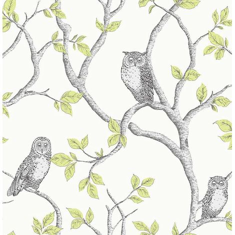 Woodland Owls Tree Wallpaper Fine Decor Green White Metallic Tree Birds
