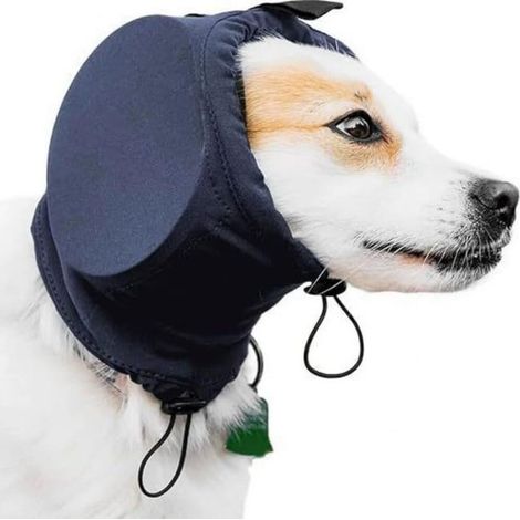 Geräuschdämpfende Ohrenschützer für Hunde – Für Haustiere – Ohrenschützer – Gehörschutz – zum Schutz des Gehörs – L (1/4)