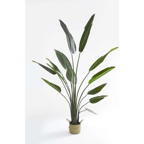 Strelitzia Plante Artificiel Oiseau Paradis 210cm Panier Algues - Plante Tropicale (1/5)