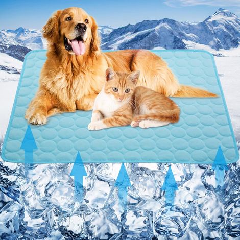 Tapis rafraîchissant pour chiens (50 x 60 cm) - Couverture rafraîchissante auto-rafraîchissante pour chiens et chats, utilisable à l'intérieur comme à l'extérieur (1/4)
