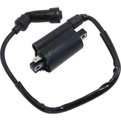 Le transformateur haute tension de bobine d'allumage 33410-05350 convient aux AN250, AN400, EN125 et TU125.