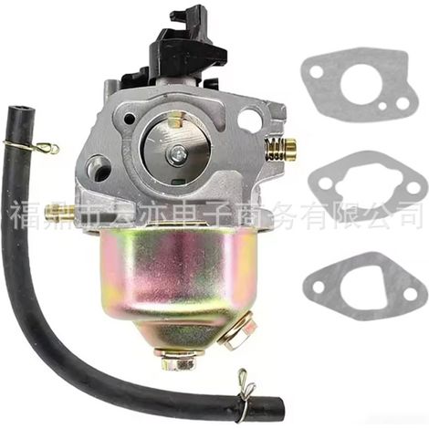 Carburateur compatible avec AL-KO ALKO Motor PRO 140 QSS 411923 (1/5)