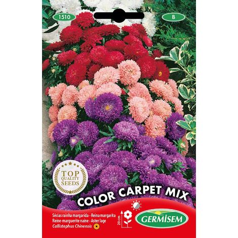 Graines de Tournesol 4 g Multicolore (1/2)