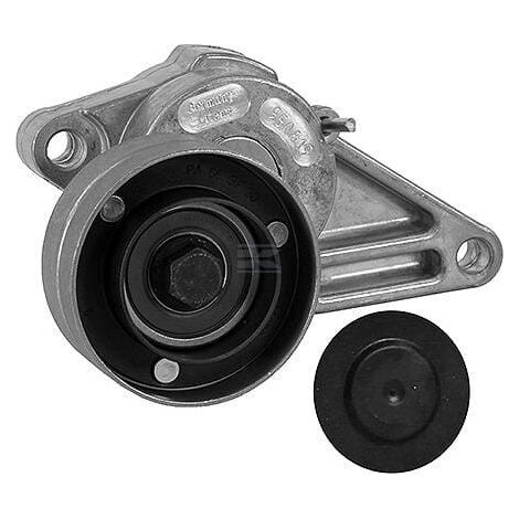 Riemenspanner gerippter Keilriemen LUK 534063310 (1/2)