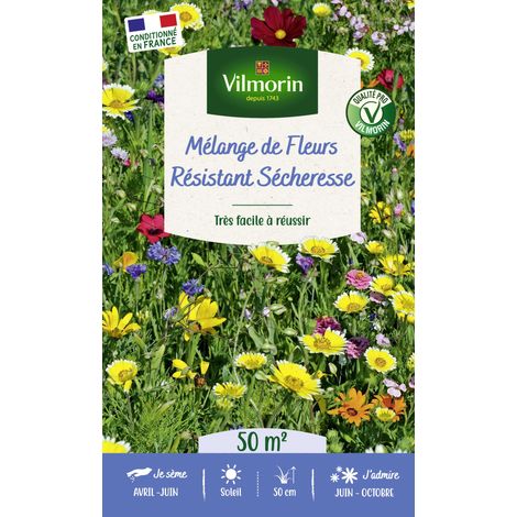 Fleurs Terrain Sec - 50 m² - Mélange de fleurs Vilmorin (1/3)