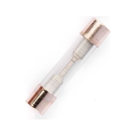 Fusible 20A 30mm (x10)