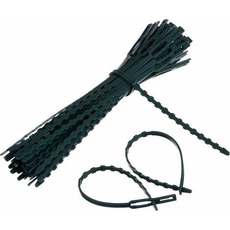 Adjustable plant clips and supports, 250 pieces, 170 mm x 8 mm, dark green (1/5)
