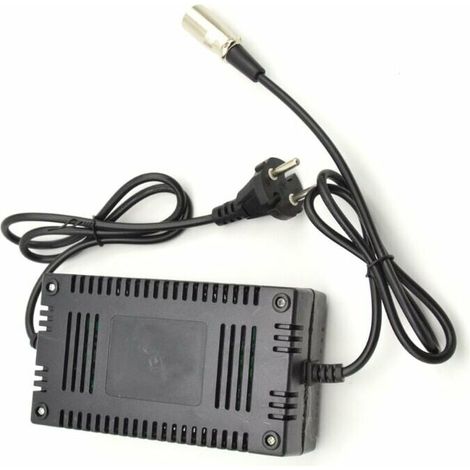 Charg intelligent pour vélos et scooters électriques, tête XLR (1/4)