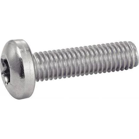 Viti Acton torx 4x10 acciaio inox 200 pezzi (1/2)