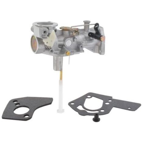Carburateur pour moteur de motobineuse Briggs & Stratton 5-6 cv – Pièce adaptable compatible modèles 133202 à 137212
