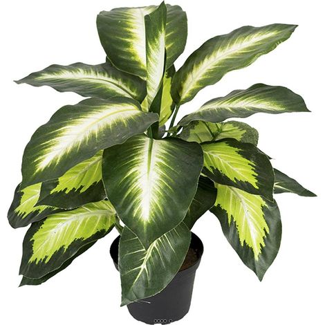Dieffenbachia factice en pot H38cm feuilles tergal enduit superbe (1/2)