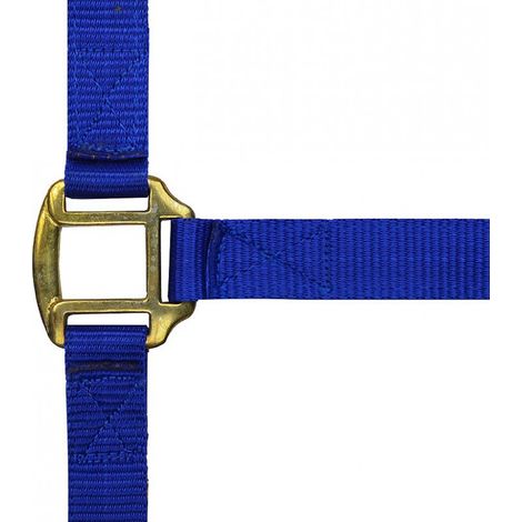 Licol nylon marine doublé cuir pour cheval (1/2)