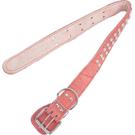 Collar para mascotas elegante, collar para perro con diseño ajustable, 1 pieza para un uso cómodo. (1/5)