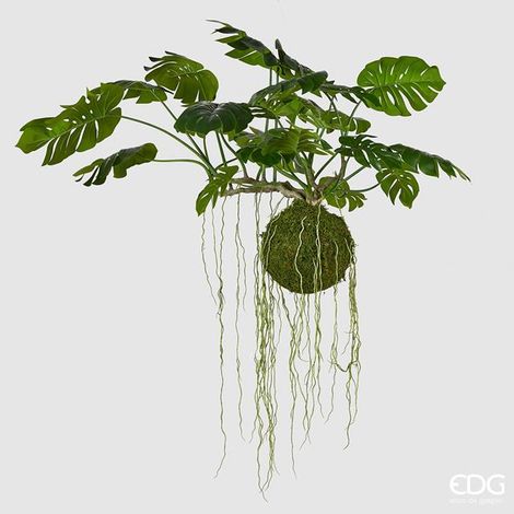 EDG Enzo De Gasperi Monstera Bell Pianta da Appendere Artificiale H 80 Cm L 140 Cm Green (1/3)