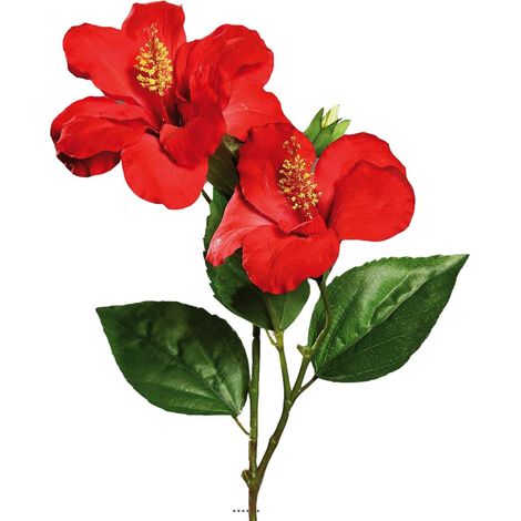 Hibiscus artificiel en branche H 65 cm 2 fleurs exotiques Rouge - couleur: Rouge (1/2)