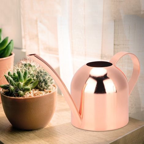 500-ml-Gießkanne aus Edelstahl mit langer Öffnung für Zimmer- und Gartenpflanzen, Roségold (1/5)