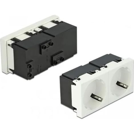 DELOCK PRISE EASY 45 AVEC MISE À LA TERRE À 2 VOIES AVEC UNE DISPOSITION DE 45° 45 X 45 MM MARQUE 81423