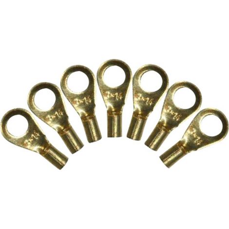 BELI-BECO 142/2 Cosse Revêtement du contact laiton 100 pc(s) (Ø x L) 3 mm x 12 mm A398682 (1/2)
