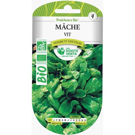 Graines de mâche vit BIO Les Doigts Verts