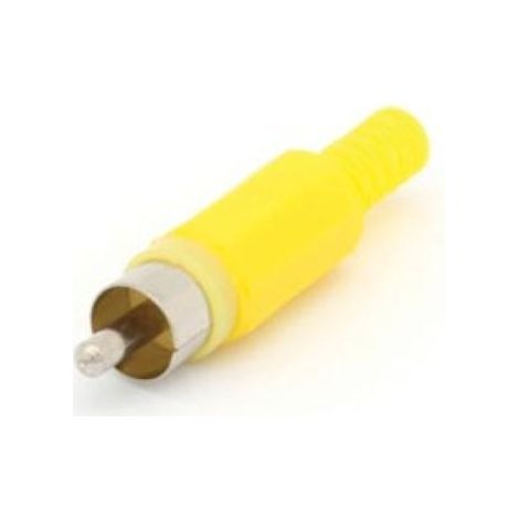 FICHE RCA MALE - JAUNE CA047Y RI778