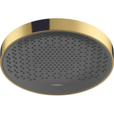 Ducha superior Rainfinity 250 1jet, 26228990