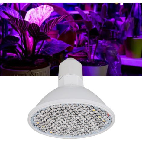 Lampe horticole E27 8W à spectre complet, 200 LED, pour semis et plantes succulentes d'intérieur, éclairage LED 110-220V (1/5)