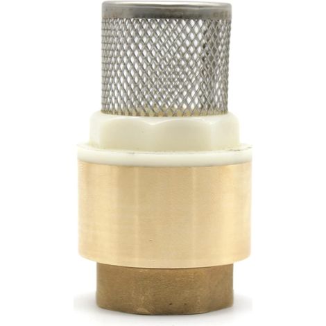Clapet Anti Retour avec Crepine Filetage Interne 1/2" Laiton Clapet Pied pour Pompe a Eau, Tuyau Arrosage, Recuperateur d Eau de Pluie, Robinet de Jardin (1/5)