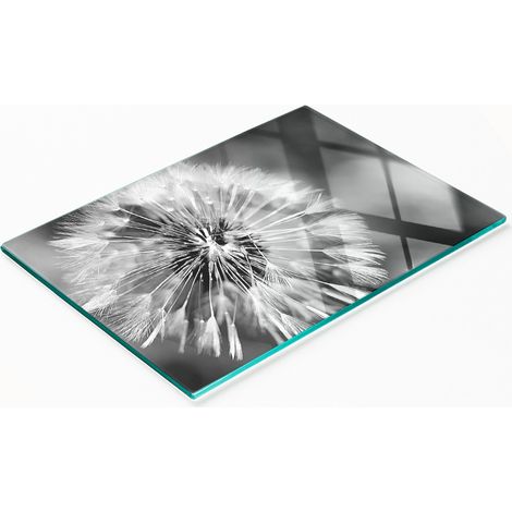 Multifunktionales dekoratives Küchen-Glasbrett Löwenzahn 80x52 cm (1/5)